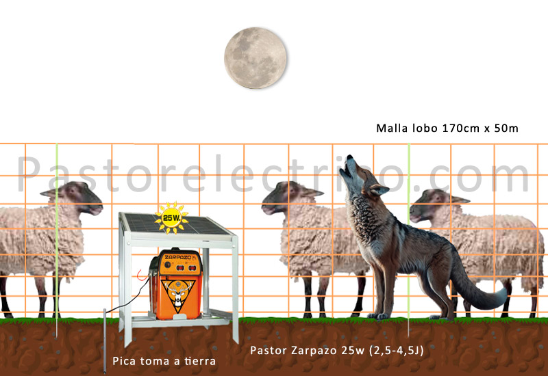 Cómo hacer un cercado eléctrico para lobo paso a paso