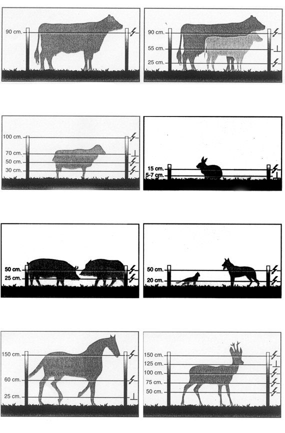 Nombre de lignes conductrices et hauteur recommandées pour les clôtures en fonction du type d'animal