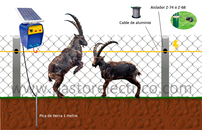PastorElectrico.com - cercado eléctrico para cabra montesa o muflón en vallado convencional