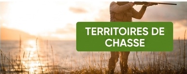 pastores eléctricos para territoires de chasse