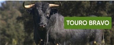 cerca elétrica para touro bravo