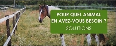Solutions par animal pour clôtures électriques Solutions par animal pour clôtures électriques