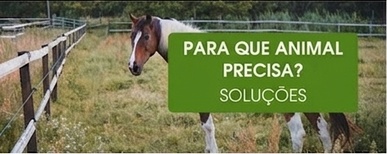 Soluções por animal para cercas elétricas Soluções por animal para cercas elétricas