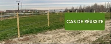 Cas de réussite PastorEléctrico Cas de réussite PastorEléctrico