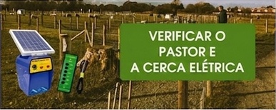 Verificar o pastor e a cerca elétrica Verificar o pastor e a cerca elétrica
