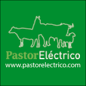 Patorelectrico.com